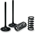 Pro X 28.SIS1409-2 Valve And Spring Kit Intake Honda CRF450R. Fixed Price $132.95.