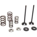 Moose Valve And Spring Kit Ktm 250SX-F 250XC-F 250XCF-W. Fixed Price $217.95.