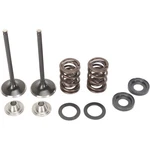 Moose Offroad Intake Valve Kit 0926-2463. Fixed Price $196.95.