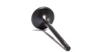 Psychic Intake Valve XU-09522I. Fixed Price $23.88.