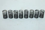 06-11 Kawasaki Ninja ZX14 Exhaust Valve Spring (8) 49078-0050 Jl. Fixed Price $60.00.