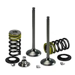 Psychic Intake Valve Kit For Ktm 540 Sxs Racing 2003 XU-09549IK. Fixed Price $68.09.