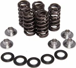 Kibble White Valve Springs/retainers/seals Kit Yamaha 2004-2014 YFZ450 R/x. Fixed Price $259.99.