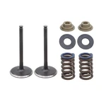 Psychic Mx Exhaust Valve Kits XU-09562IK 999703. Fixed Price $57.24.