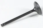 Kpmi Black Diamond Exhaust Valve Engine. Fixed Price $37.95.