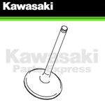 New 2008 2014 Genuine Kawasaki Kfx 450R Intake Valve 12004-0026. Fixed Price $114.32.