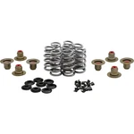 Kibblewhite 20-24400 High-performance Ovate Wire Beehive Valve Spring Kits. Fixed Price $539.84.