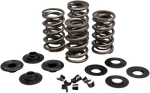 Kibblewhite Racing Valve Spring Kit .650"VL 20-21650. Fixed Price $209.99.