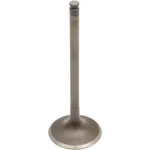 Pro X Steel Intake Valve - ,. Fixed Price $32.95.