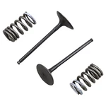 Pro X 28.SIS3338-2 Steel Valve And Spring Kit Intake. Fixed Price $143.47.