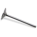 Del West Intake Valve DWYFZ450R12IV03. Fixed Price $147.35.