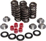 Yamaha YFZ450R 2004-2025 Valve Spring Kit Usa Kibblewhite 80-80206. Fixed Price $269.95.