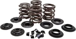 Kibblewhite 20-20450 Racing Valve Spring Kit Steel .600" Lift. Fixed Price $126.21.