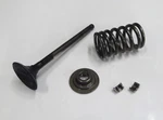 2003-2024 Honda Vtx 1300 Engine Intake Valve Spring Oem 14711-MEA-670. Fixed Price $39.99.