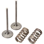 Pro X 28.SIS6333-2 Steel Intake Valve/spring Kit. Fixed Price $147.03.