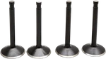Kibblewhite Engine Valve Kit 20-22100. Fixed Price $117.99.