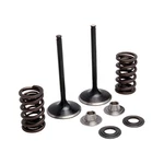 Kibblewhite Stainless Steel Intake Valve Kit. Fixed Price $166.27.