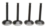 Kibblewhite 20-22200 Valve Set Kit 57-69 Harley Sportster 900 61002. Fixed Price $142.70.
