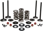 Kibblewhite Black Diamond Engine Valve Kits 20-22750. Fixed Price $266.59.
