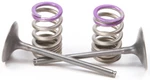 Pro X Steel Valves And Spring Kits Intake 28.SIS4336-2. Fixed Price $139.99.
