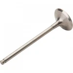 Pro Titanium Exhaust Valve 28.4347-1. Fixed Price $86.08.