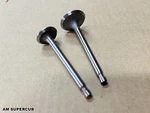 Honda C200 CA200 CT200 CM90 Intake & Exhaust Valve 14711-030-000 , 14721-030-000. Fixed Price $32.52.
