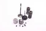 Oem 06 Suzuki King Quad LTA700X Intake Valve & Spring Set. Fixed Price $74.95.
