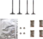 Wiseco Intake & Exhaust Valve Spring Kit (SVKB4341). Fixed Price $309.99.