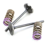Pro X Steel Intake Valve And Spring Kit 28.SIS1336-2. Fixed Price $139.99.