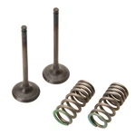Pro 28.SES2402-1 Steel Exhaust Valve/spring Kit. Fixed Price $139.99.