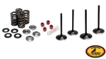 Kawasaki Kibblewhite Valve Kit Intake/exhaust W/ Spring 04-16. Fixed Price $338.95.