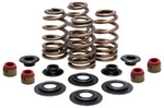 Kibblewhite Harley Davidson 883 Valve Spring Kit 05-17 .660. Fixed Price $161.35.