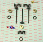 Valve Kit Intake WRF250 01-09, Psychic XU-09522IK. Fixed Price $183.39.