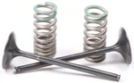 Pro X Steel Valves And Spring Kits 28.SIS1340-2. Fixed Price $140.36.