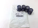 Nos Genuine Harley Inner Valve Springs Set 1983-1985 18204-83. Fixed Price $25.00.
