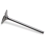Del West Intake Valve DWYFZ450R12IV03. Fixed Price $158.26.