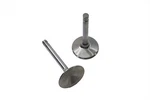 Stainless For Steel Intake Valve. Fixed Price $97.99.