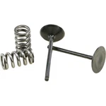 Pro X Steel Intake Valve And Spring Kit 28.SIS2444-2. Fixed Price $149.99.