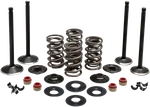 Kibblewhite Black Diamond Engine Valve Kits 20-22750. Fixed Price $260.99.