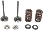 Moose Intake Valve/spring Kit Steel Fits Suzuki RM-Z250 2007-2014. Fixed Price $217.95.