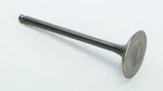 Pro Steel Exhaust Valve 28.3402-1. Fixed Price $38.77.
