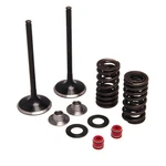 Kibblewhite Stainless Steel Intake Valve Kit 30-31200. Fixed Price $190.95.