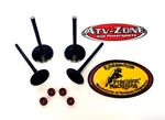 Kibblewhite Black Diamond Valves Intake And Exhaust Yamaha Raptor 700 2006-2020. Fixed Price $135.18.