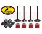20-24 Yamaha Stock Kibblewhite Intake & Exhaust Valves Red Seals. Fixed Price $106.13.