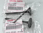 Kawasaki 140 KLX150 Intake Valve & Exhaust. Fixed Price $34.38.