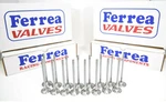 Ferrea 6000 Series Valves .5MM Over For 2005-2012 Suzuki Swift G13 16V Dohc. Fixed Price $359.00.