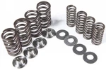 Kpmi Racing Valve Spring Kit 60-60170. Fixed Price $217.53.