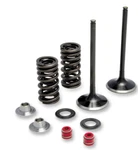 Moose Racing XF-2-0926-2434 Exhaust Valve Kit. Fixed Price $159.99.