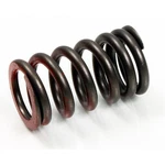 Psychic Exhaust Valve Springs XU-09502ES. Fixed Price $19.99.