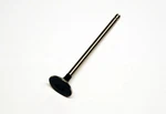 Valve Exhaust XR250 96-04, Prox 28.1356-1, 14721-KCZ-000. Fixed Price $35.54.